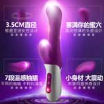 智能7頻上下衝撞棒之天怡(磁吸充電加溫版）