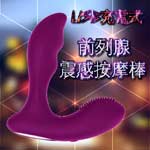前列腺刺激USB充電12頻振動後庭按摩器(紫色)